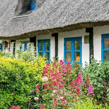 Cozy In With Kitchen Holiday home *